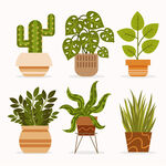 绿色植物