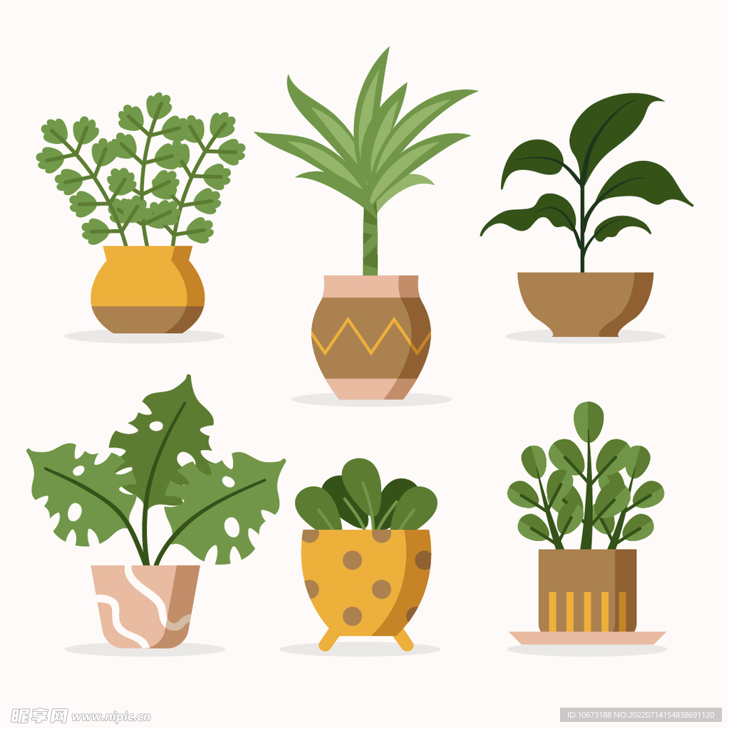 绿色植物