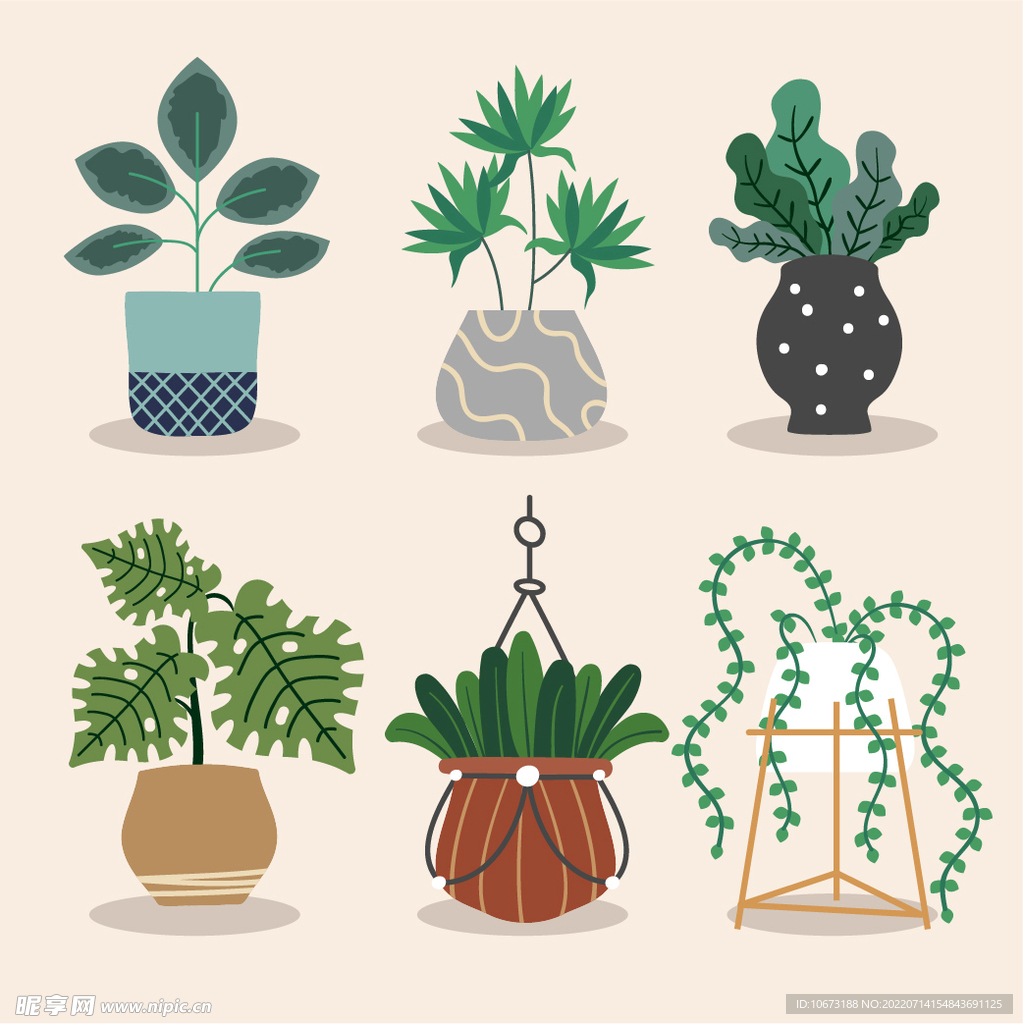 绿色植物