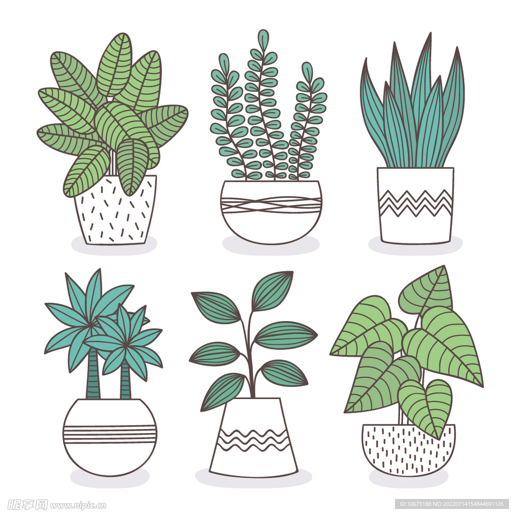 绿色植物