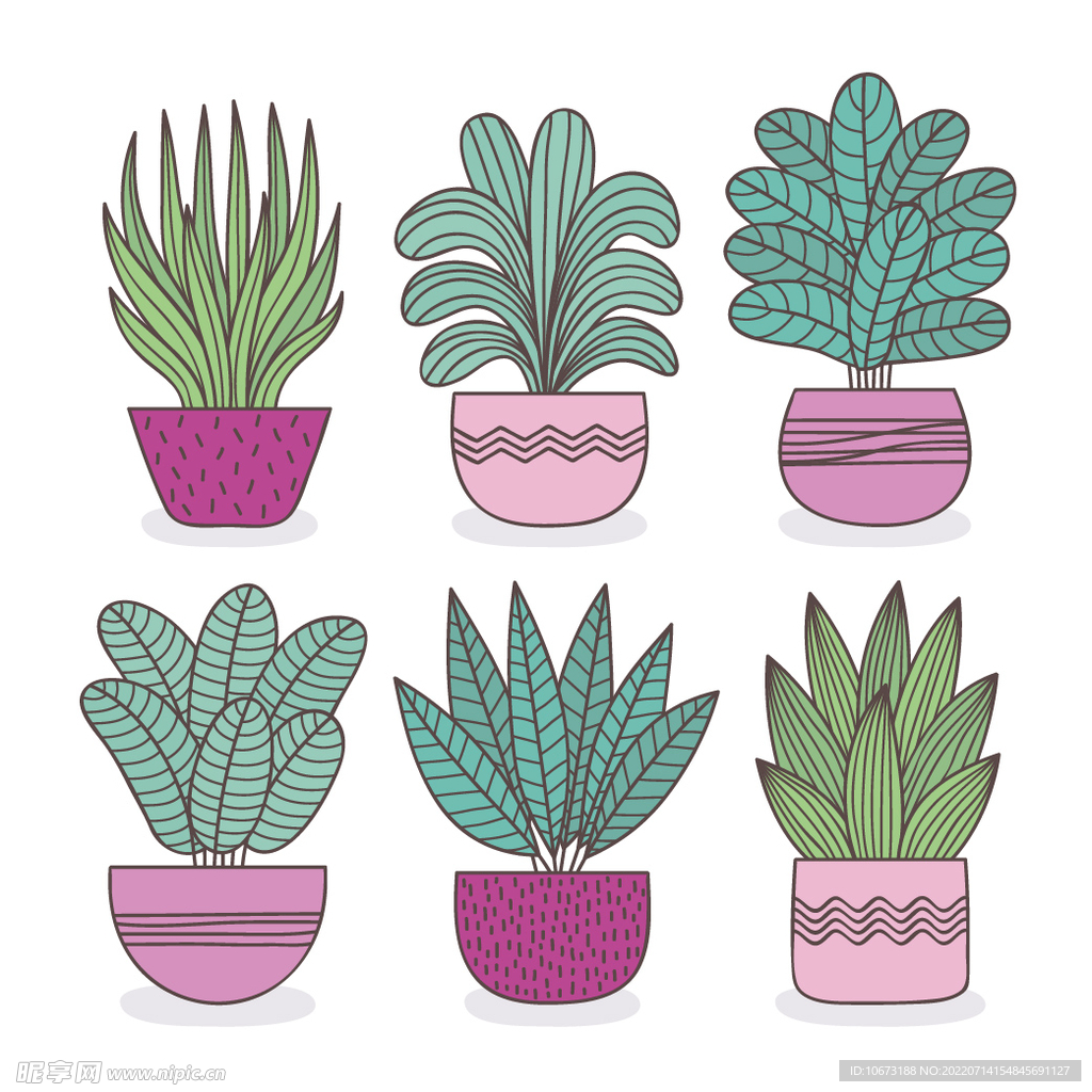 绿色植物
