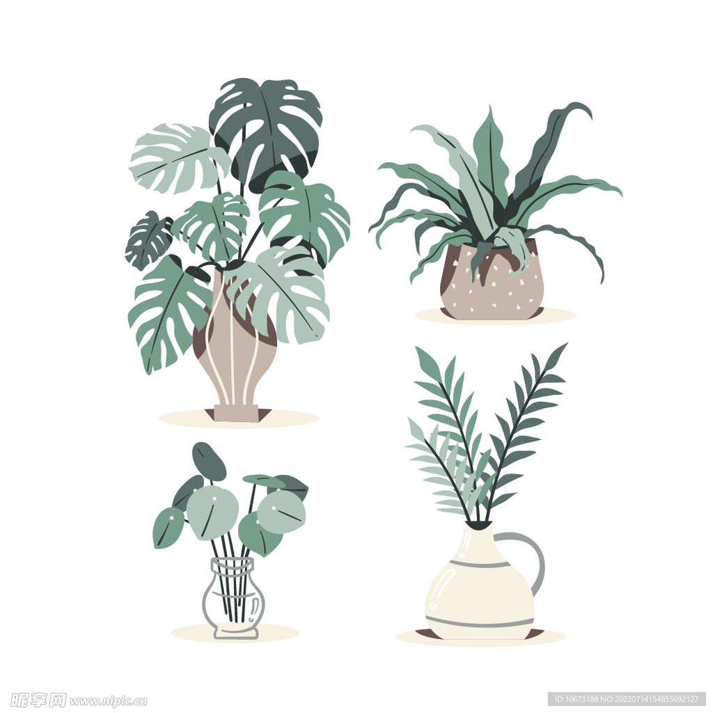 绿色植物