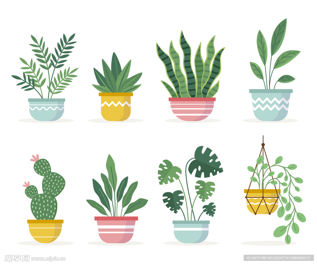 绿色植物
