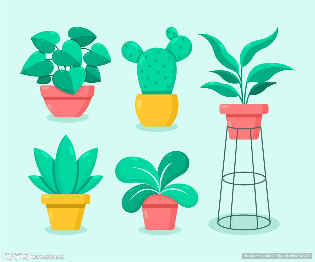 绿色植物