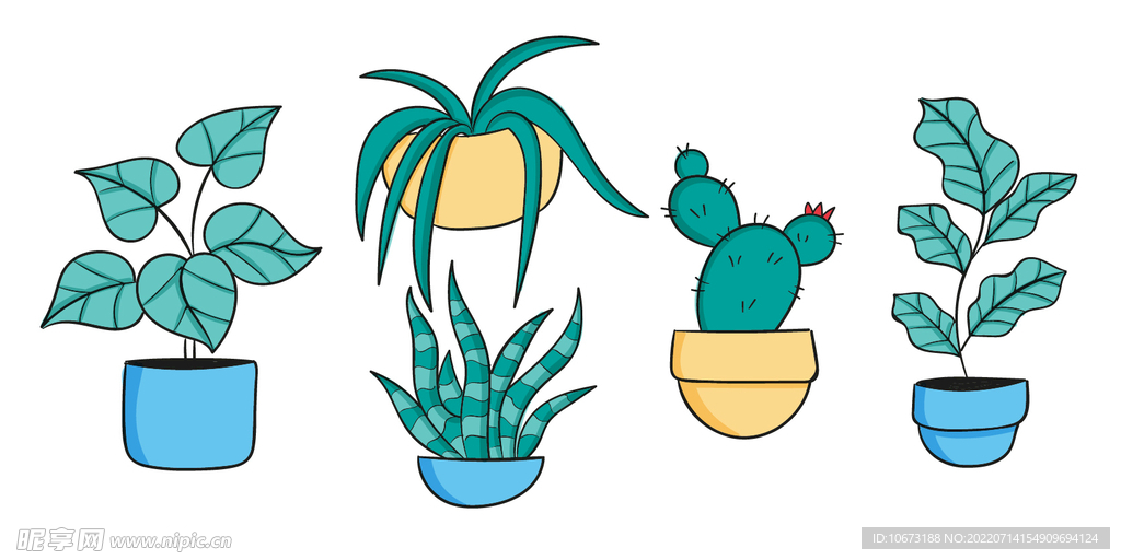 绿色植物