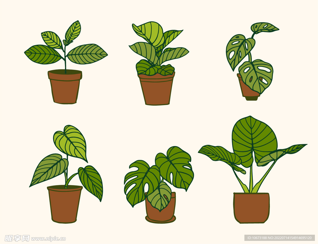 绿色植物