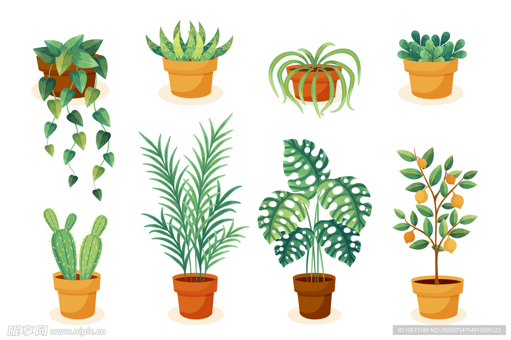 绿色植物
