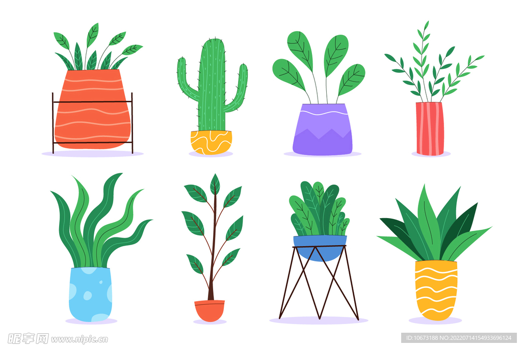 绿色植物