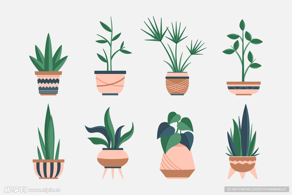 绿色植物