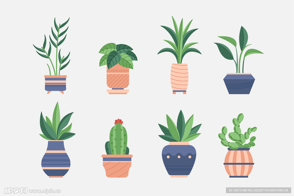 绿色植物