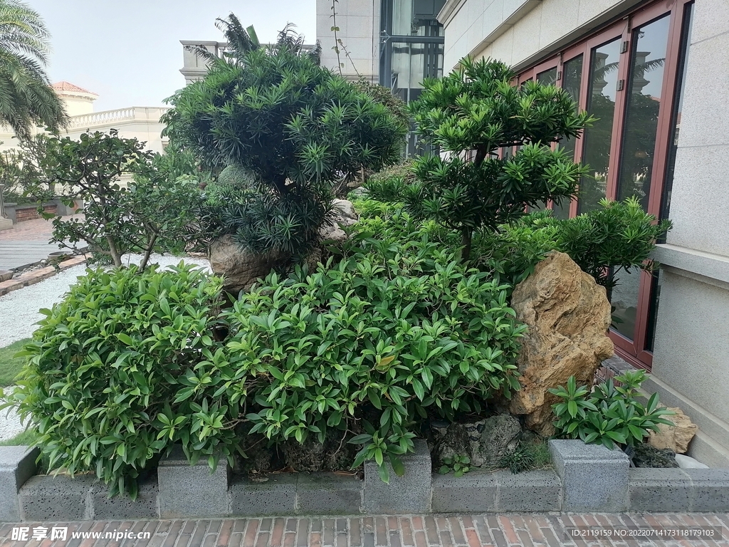 园林