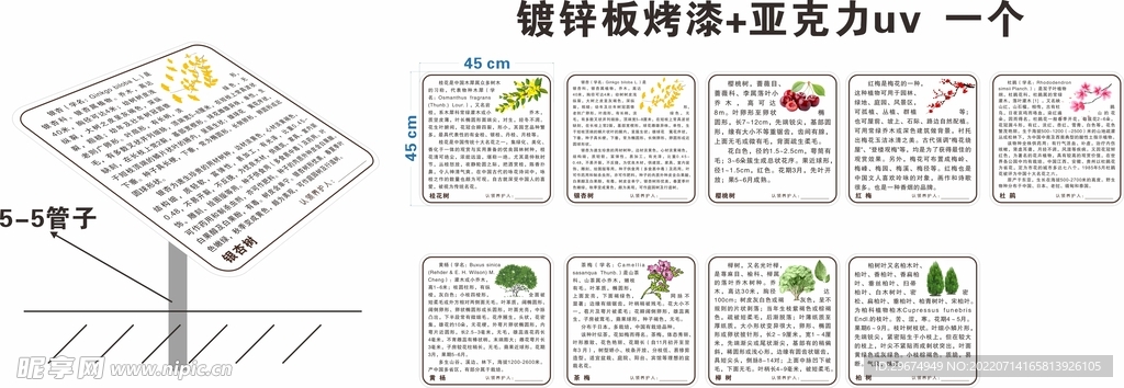 花草牌