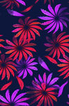 花卉