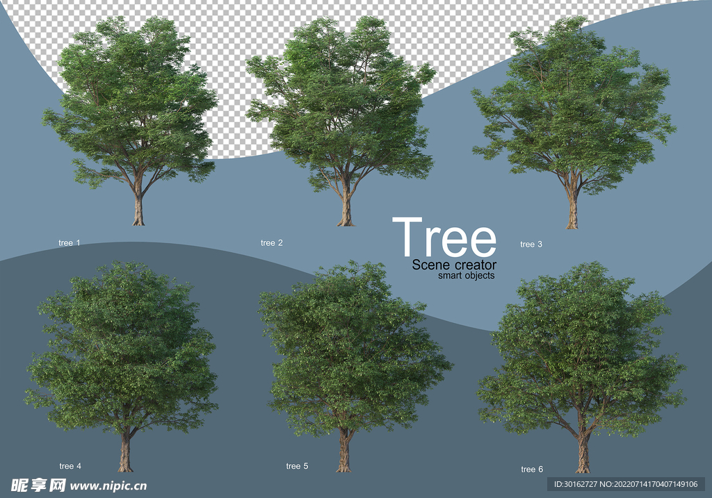 高清树木透明背景素材