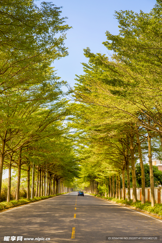 户外夏季城市大道