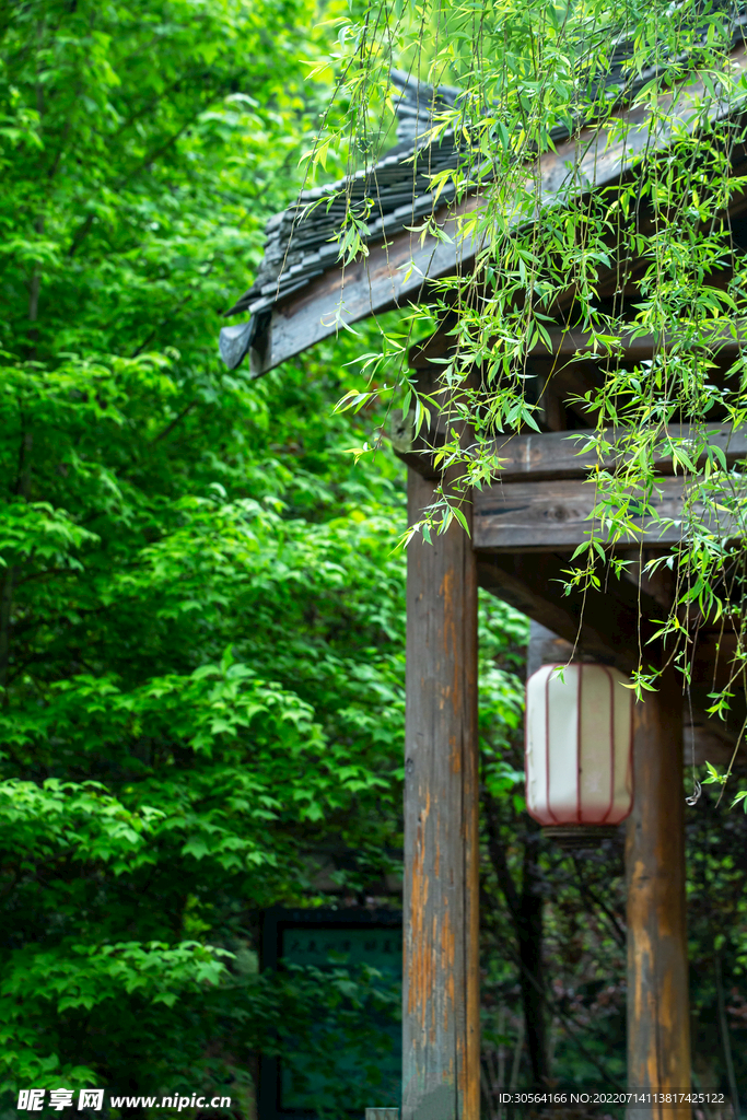 户外夏季复古建筑