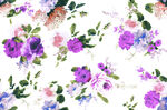 玫瑰花