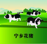 宁乡花猪