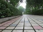 砖路