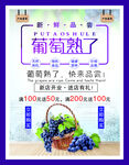 葡萄