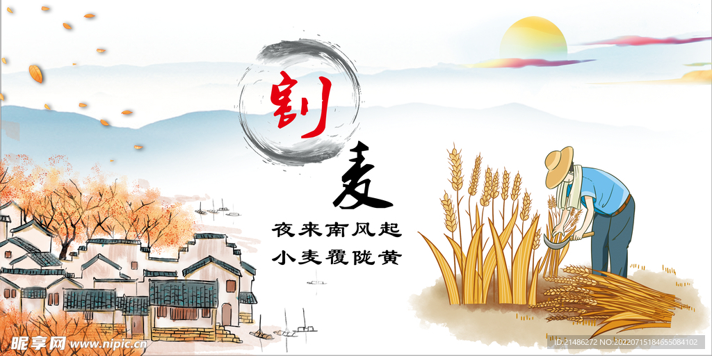 割麦