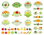 蔬菜水果矢量图