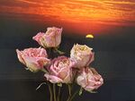 干花