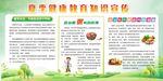 夏季健康教育宣传栏
