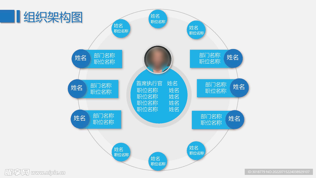 组织构架图 