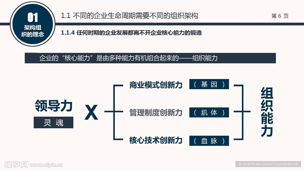 组织构架图 