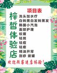 梓皙