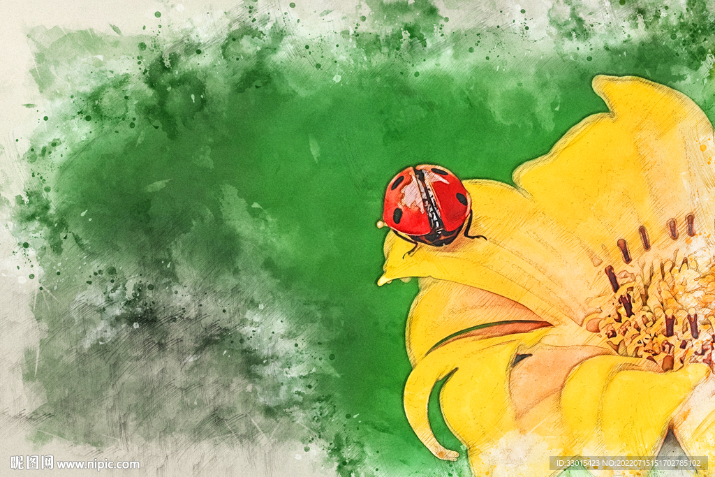 花朵瓢虫装饰画手绘插画