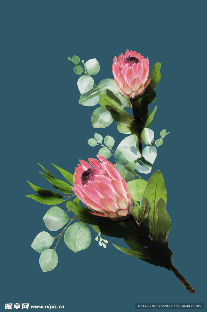 大牌 花