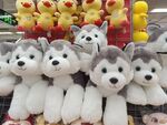 毛公仔 布娃娃