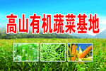 蔬菜基地