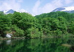 碧水青山    