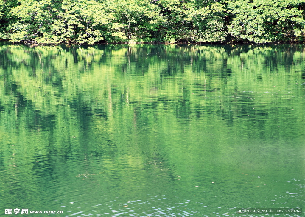 碧水青山    