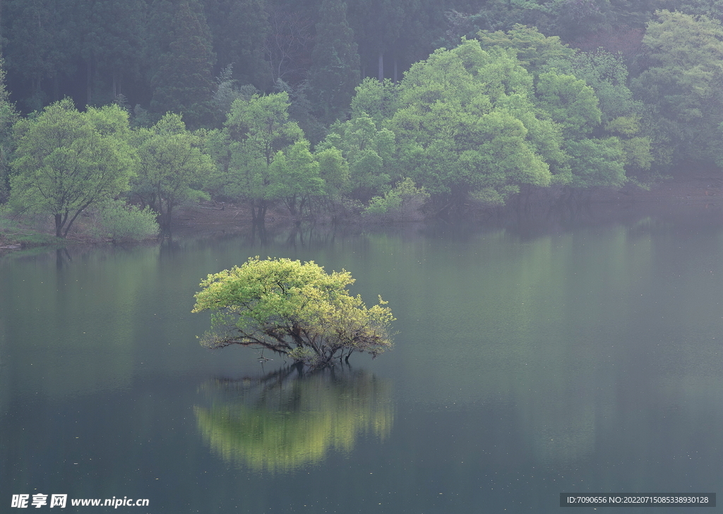 山涧溪流         