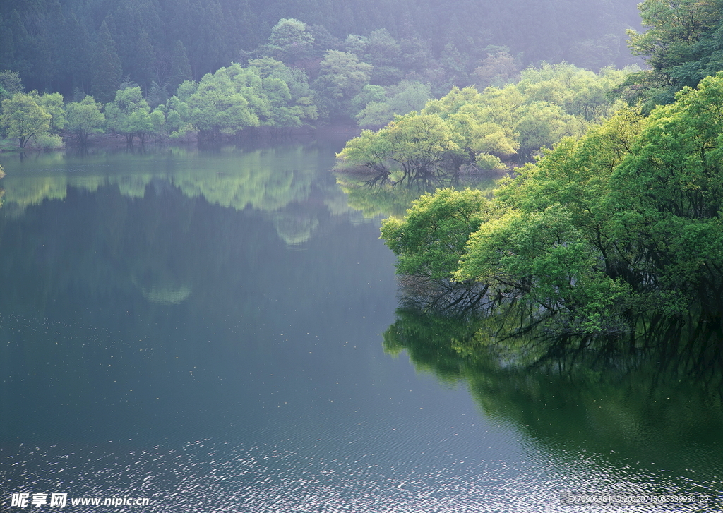 山涧溪流         