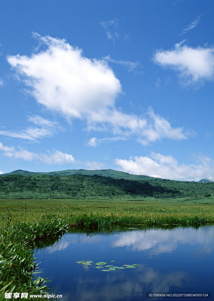 碧水青山    