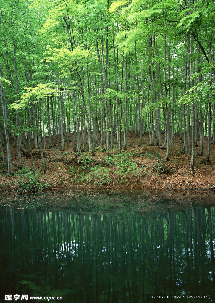 山涧溪流         