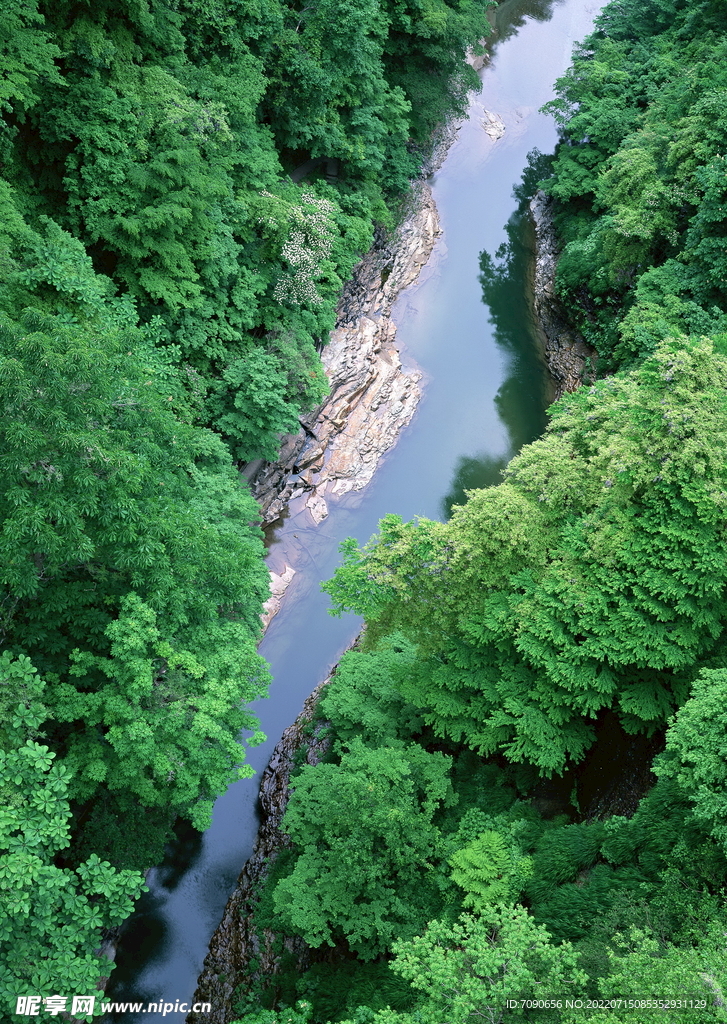 山涧溪流         