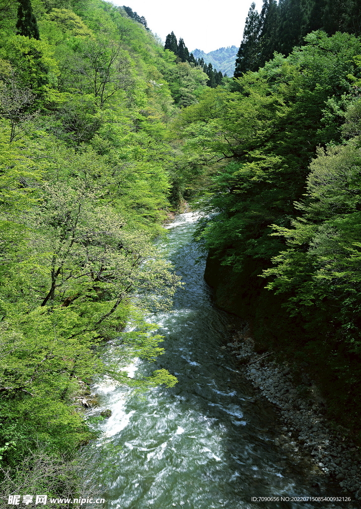 山涧溪流         