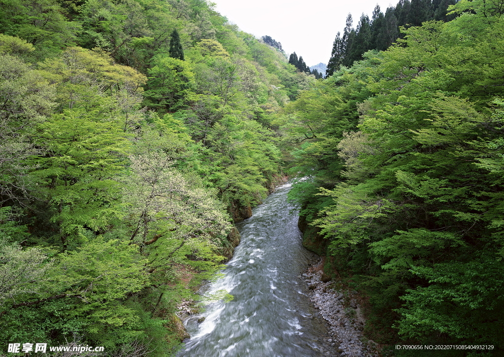 山涧溪流         