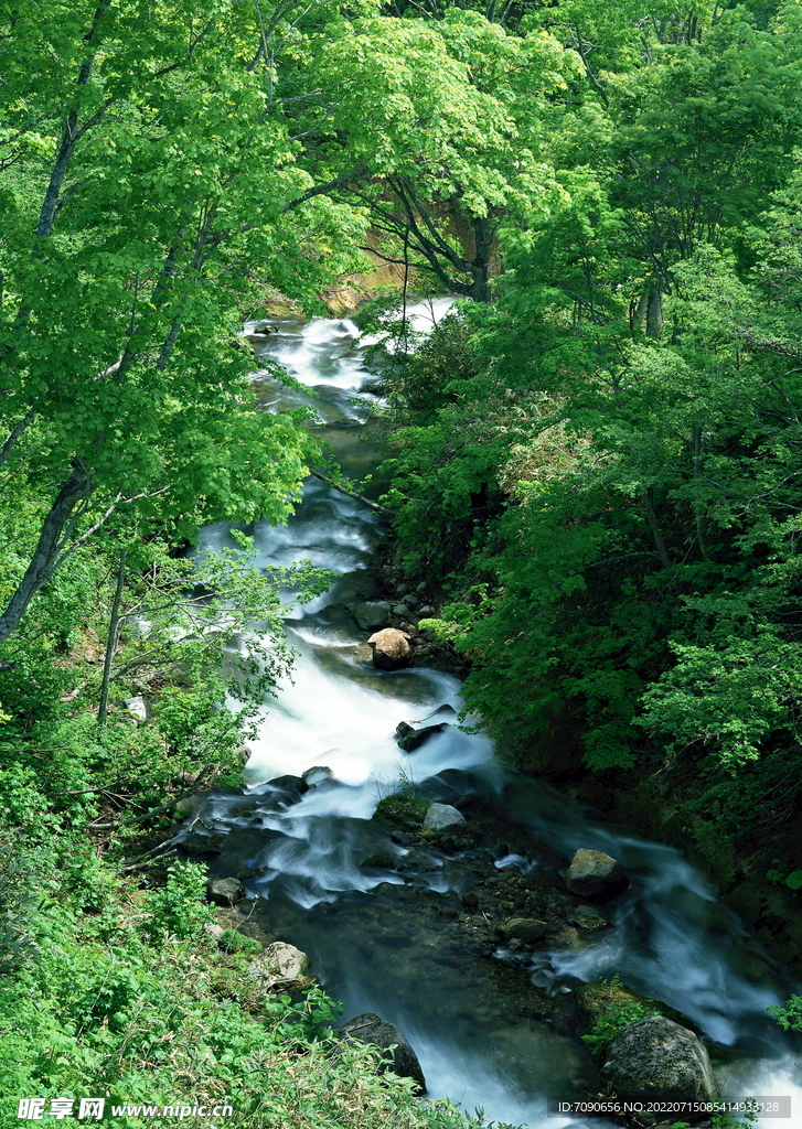 山涧溪流         