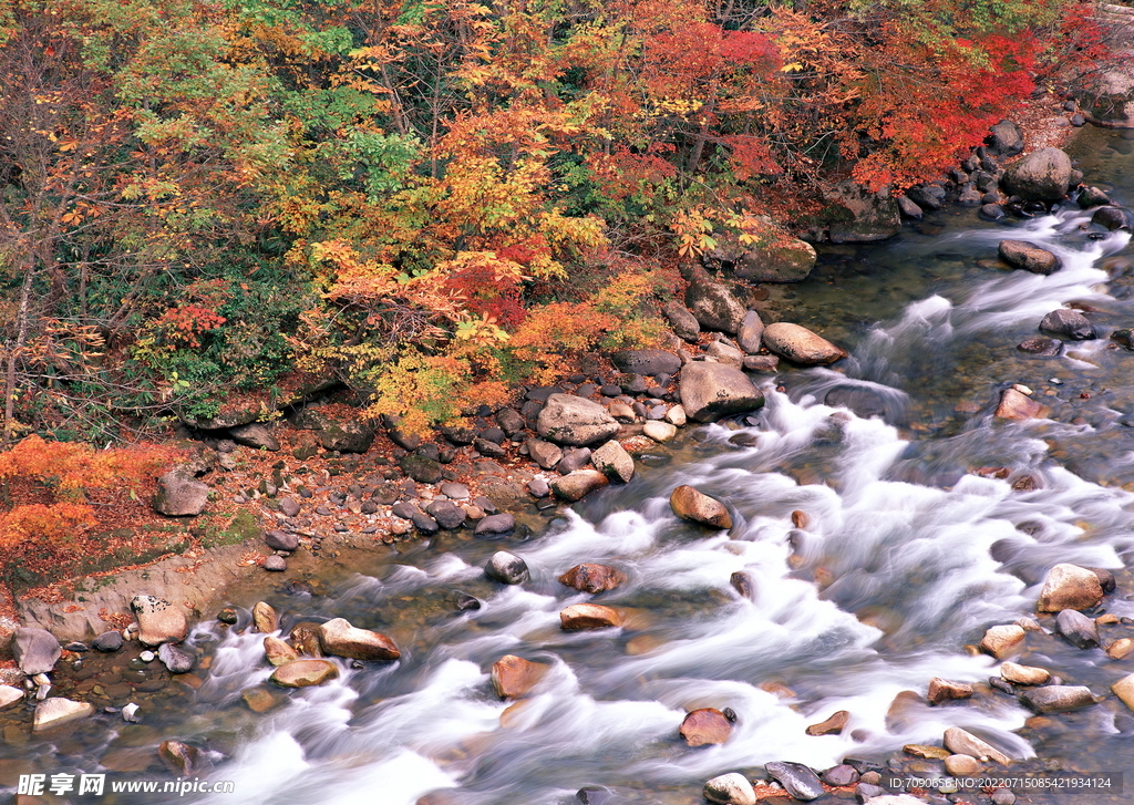 山涧溪流         
