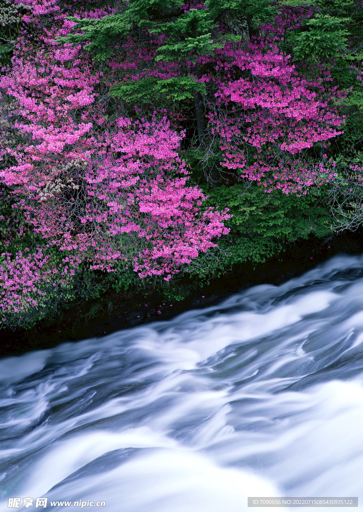 山涧溪流         