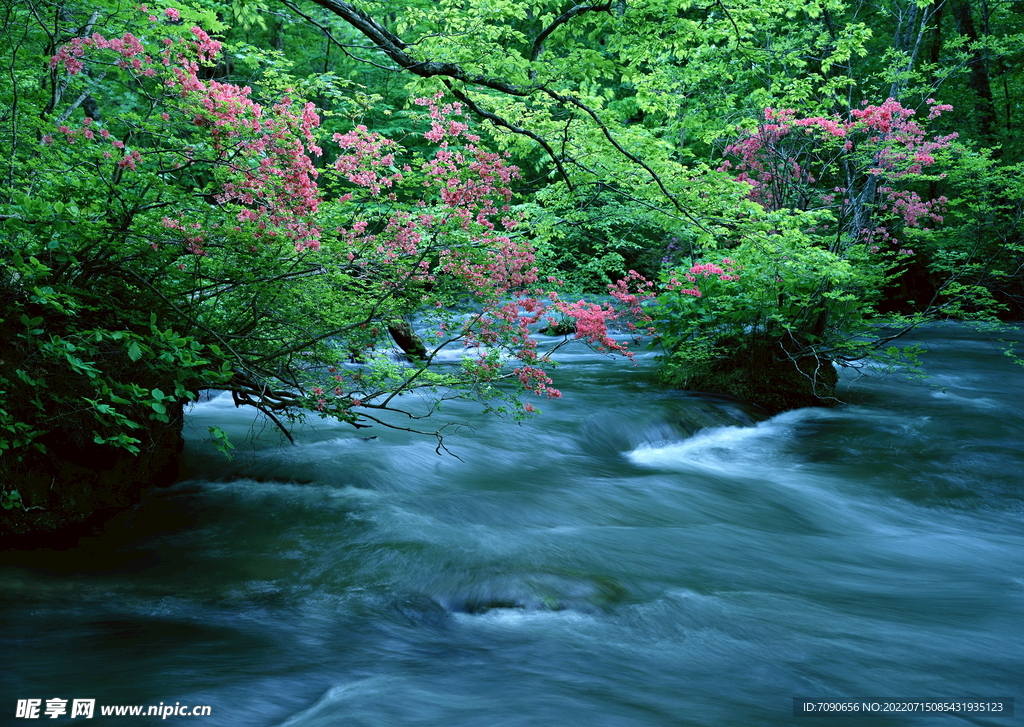 山涧溪流         