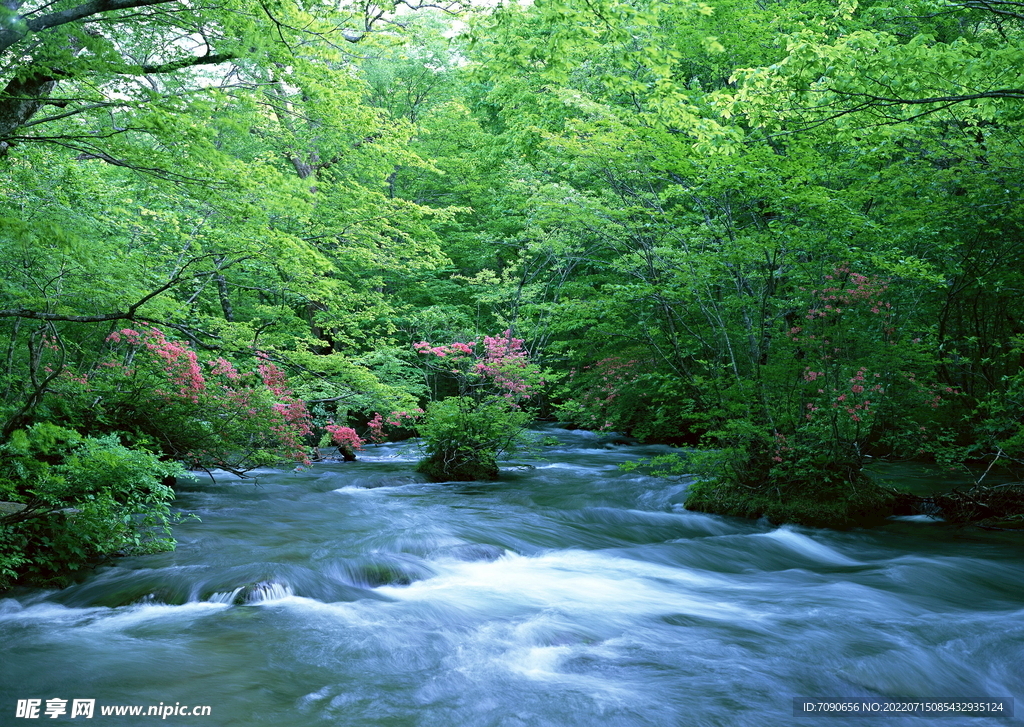 山涧溪流         