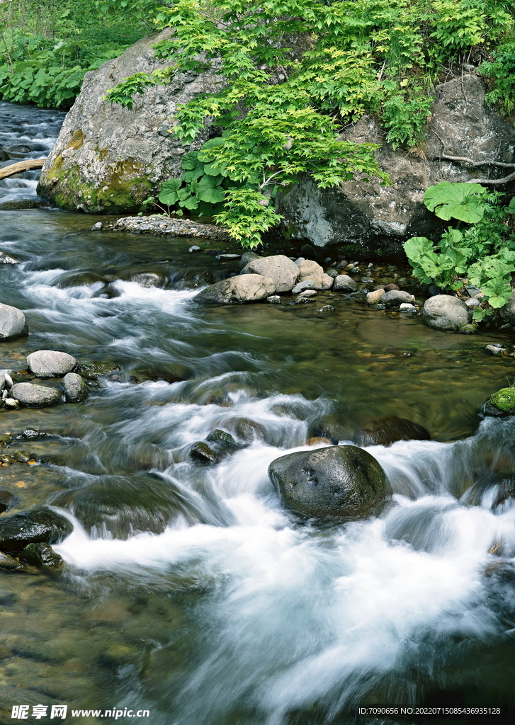 山涧溪流         